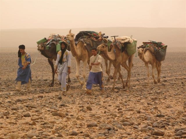 phoca thumb l 507 img 09151