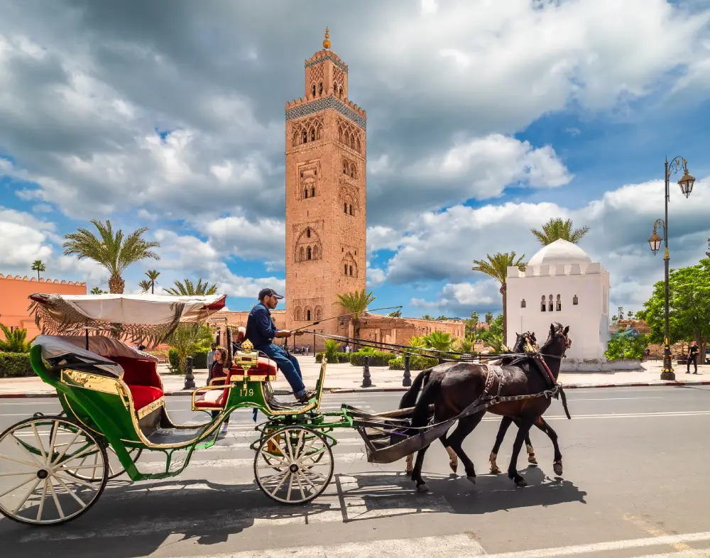 circuit sud 4 4 naga